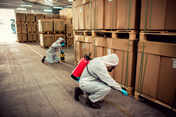 Best Emergency Pest Control  in West Yellowstone, MT