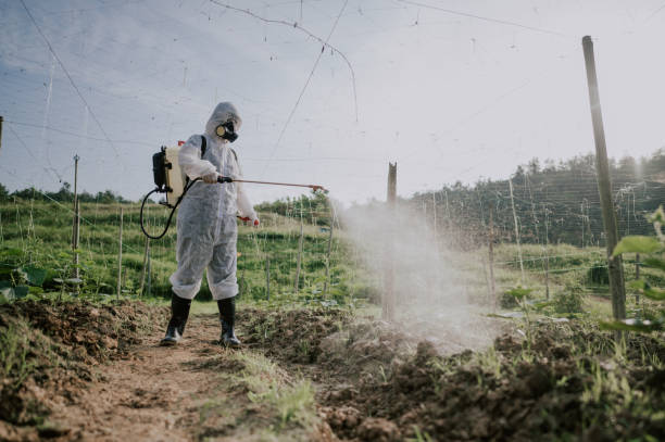 Best Commercial Pest Control Services  in West Yellowstone, MT