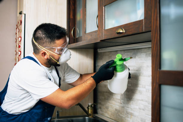 Best Wasp Removal Services  in West Yellowstone, MT