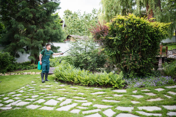 Best Pest Inspection Near Me  in West Yellowstone, MT
