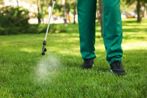 Best Residential Pest Control  in West Yellowstone, MT