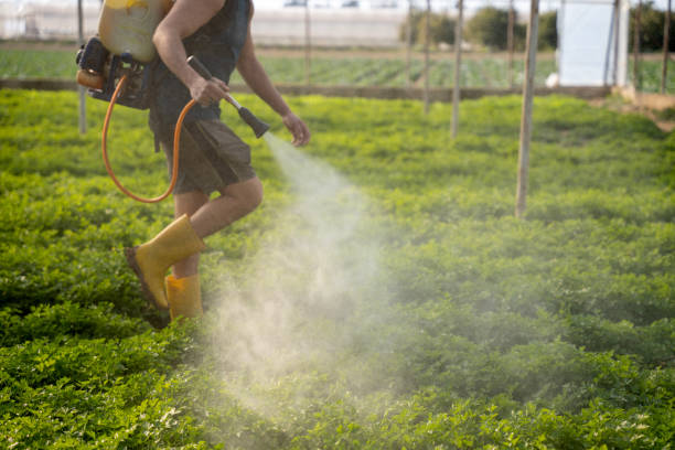 Best Pest Prevention Services  in West Yellowstone, MT