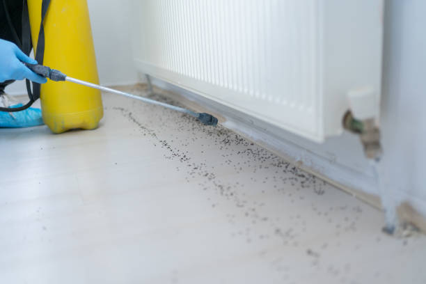 Best Mosquito Control Services  in West Yellowstone, MT