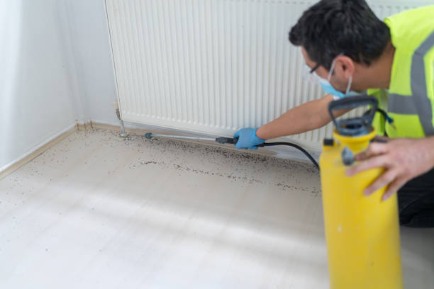 Best Mosquito Control Services  in West Yellowstone, MT