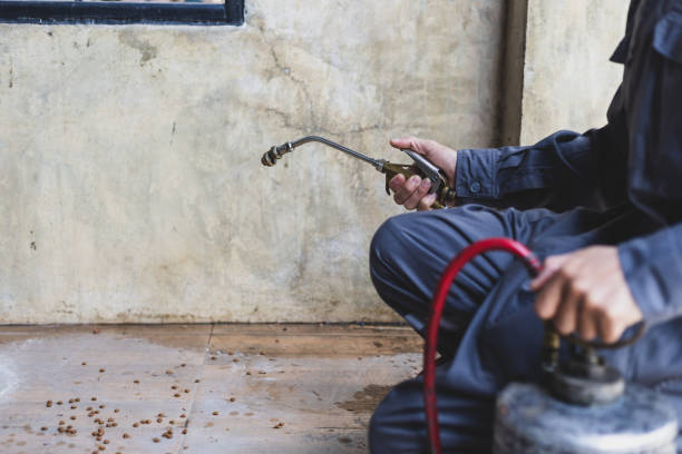 Best Termite Control Services  in West Yellowstone, MT