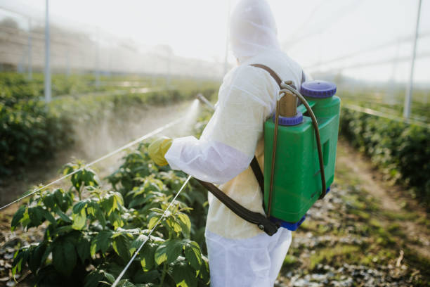 Best Pest Control for Businesses  in West Yellowstone, MT
